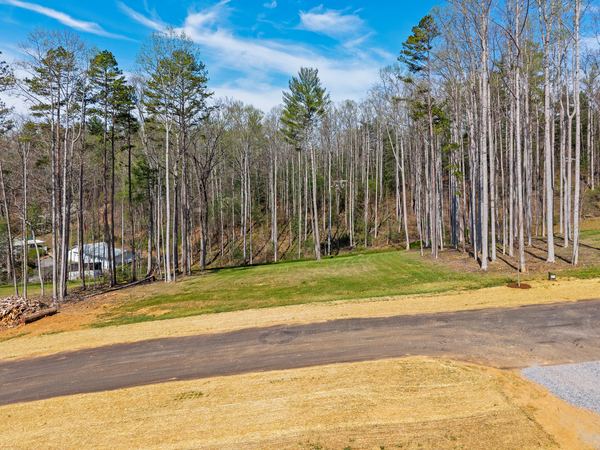 Aerial view of Homesite Four at Harris Cove